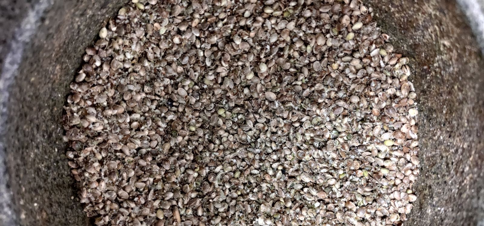A close-up of hemp seeds filling a stone mortar.