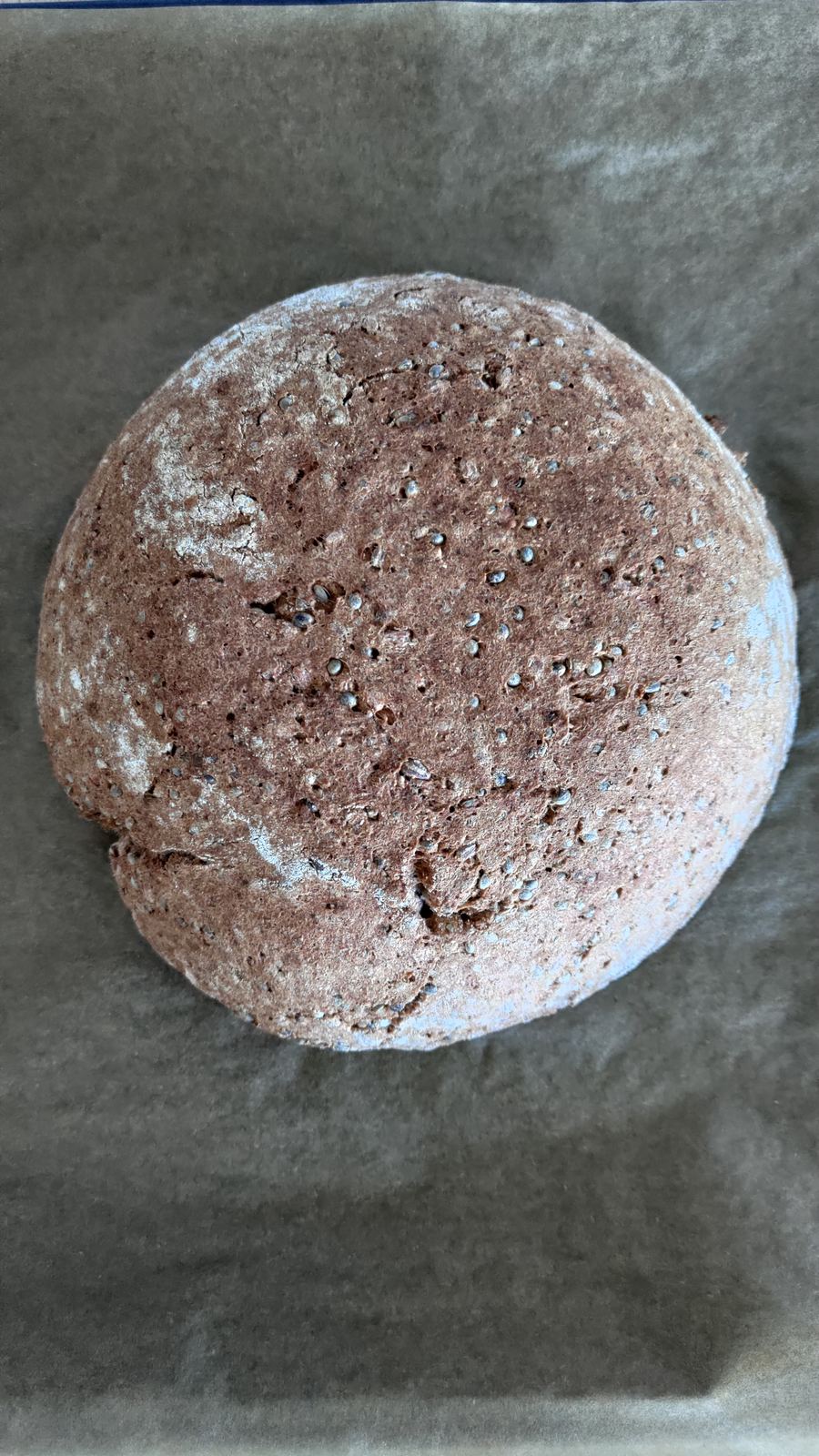 A round, floured rye bread loaf resting on baking paper.